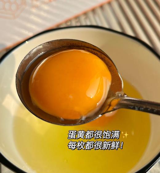 30枚富硒富叶黄素鲜鸡蛋 新鲜直达 A-4650  田园居 商品图4