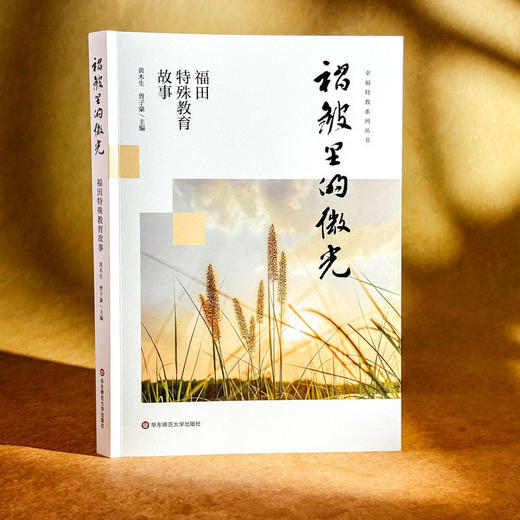 褶皱里的微光:福田特殊教育故事 商品图1