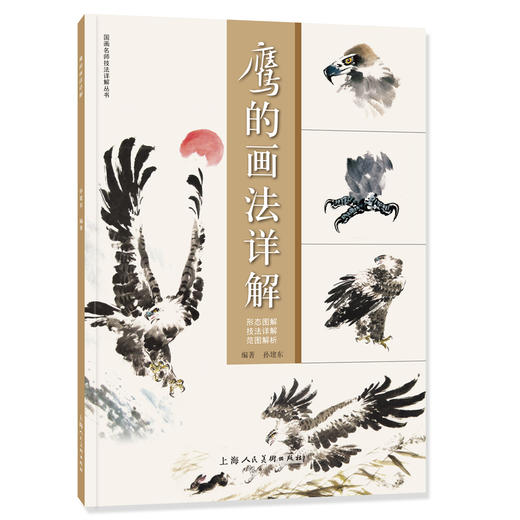 鹰的画法详解 商品图0