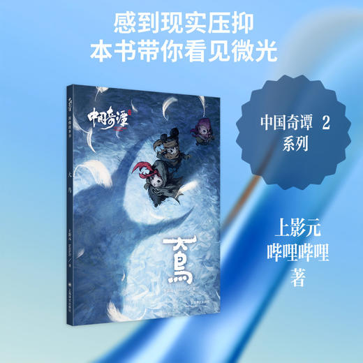 大鸟 商品图4