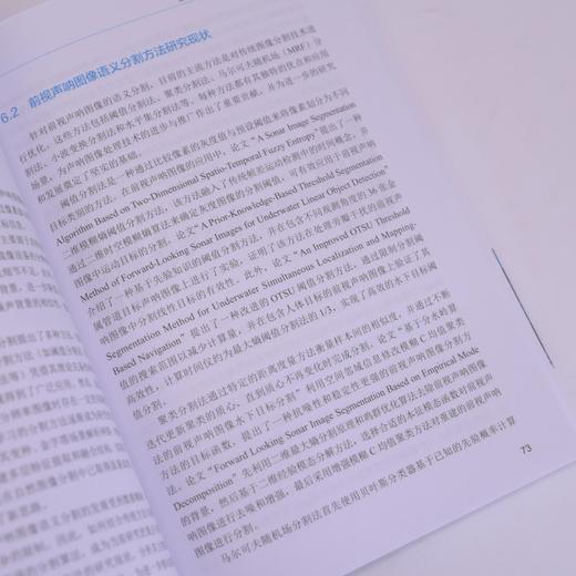 智能水下声呐图像处理技术及应用 商品图4
