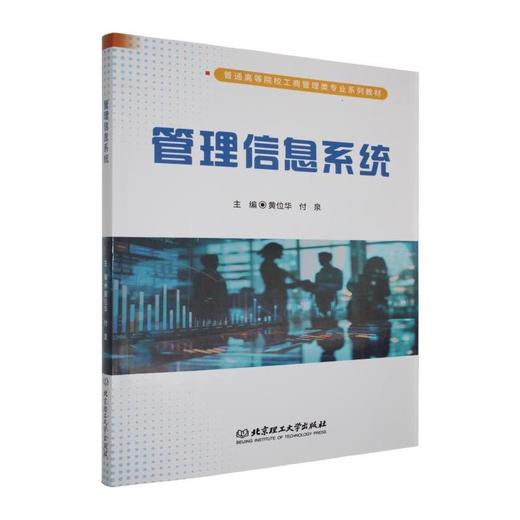 管理信息系统 商品图0