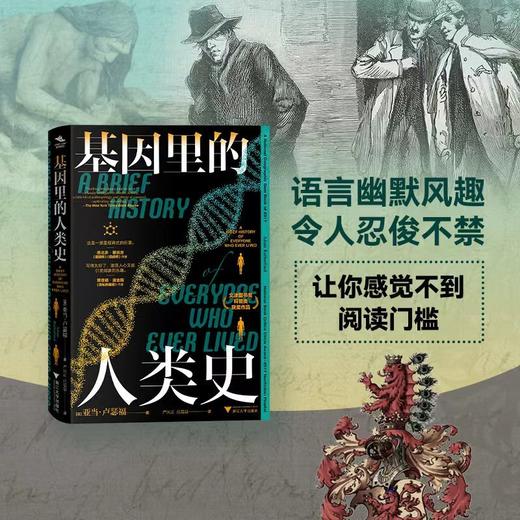 基因里的人类史 商品图0