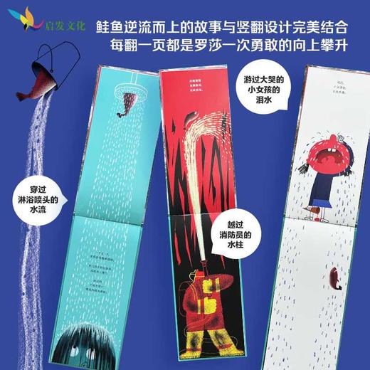 最勇敢的鲑鱼罗莎 商品图2