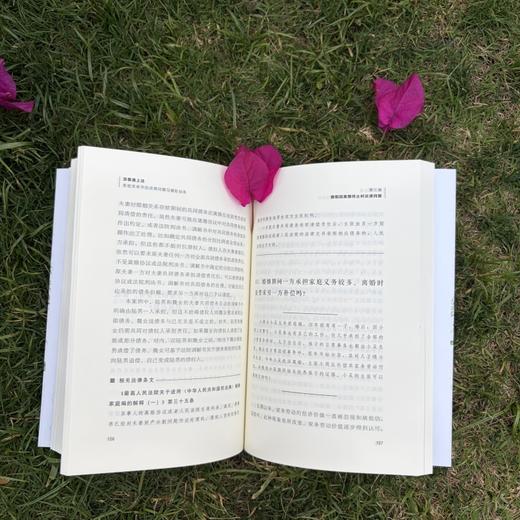 当爱遇上法:亲密关系中的法律问题与避险指南 商品图4