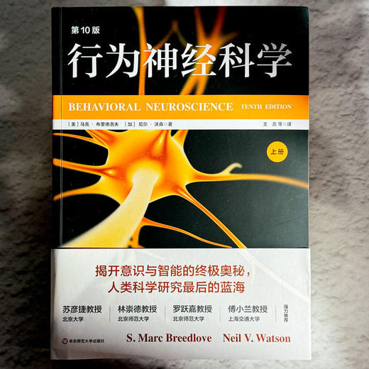 行为神经科学(第10版)(全2册) 商品图2
