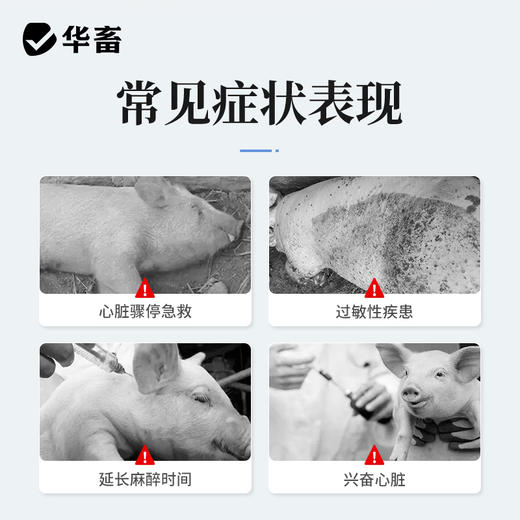 华畜兽药 盐酸肾上腺素注射液10支 兴奋心脏 商品图1