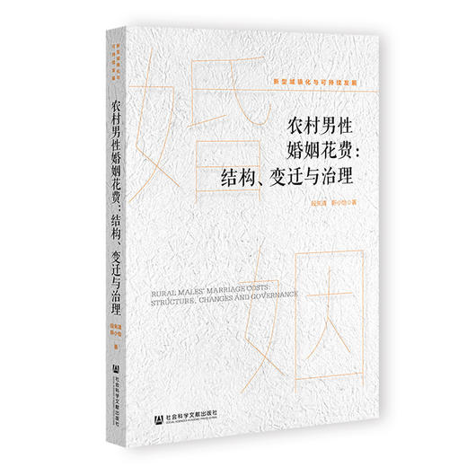 农村男性婚姻花费:结构.变迁与治理 商品图0