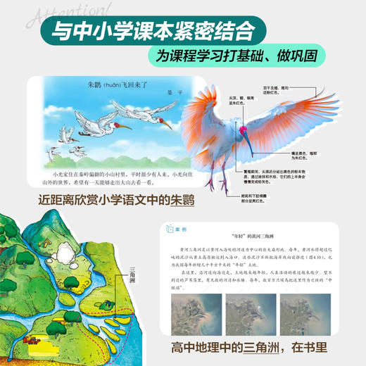 中国国家公园 商品图4