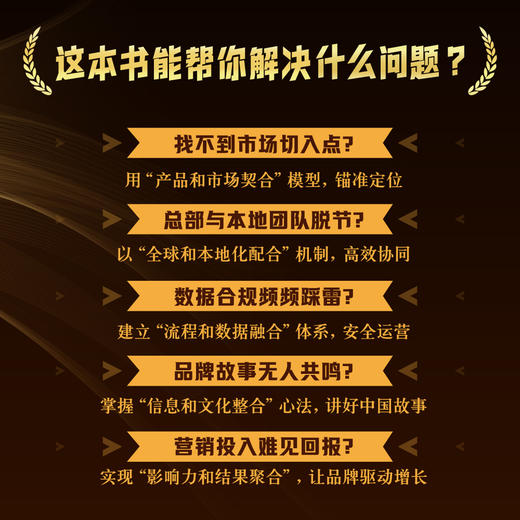 高价值出海:五星模型增长实战指南 商品图4
