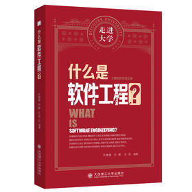 什么是软件工程？