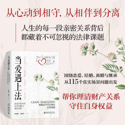 当爱遇上法:亲密关系中的法律问题与避险指南 商品图0