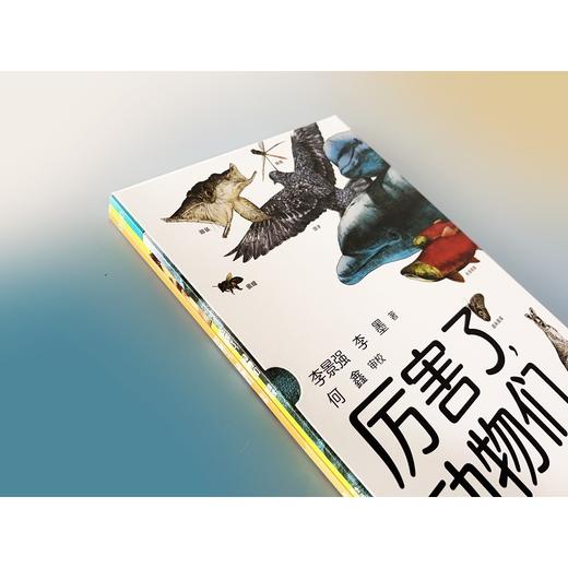 厉害了,动物们(全3册) 商品图3