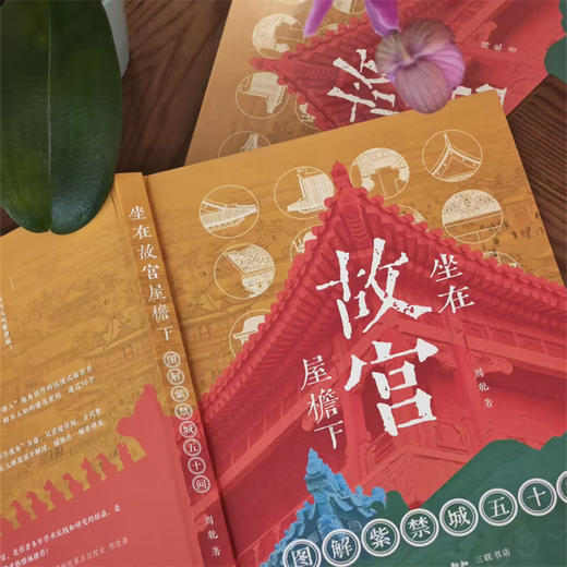 坐在故宫屋檐下:图解紫禁城五十问 商品图3