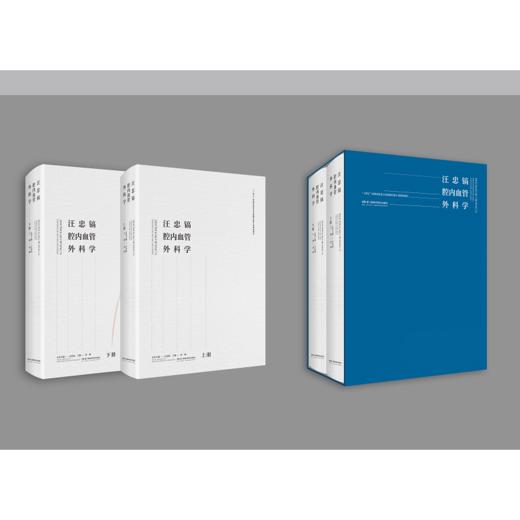 汪忠镐腔内血管外科学(全2册) 商品图1