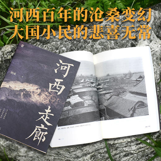 河西走廊 商品图2