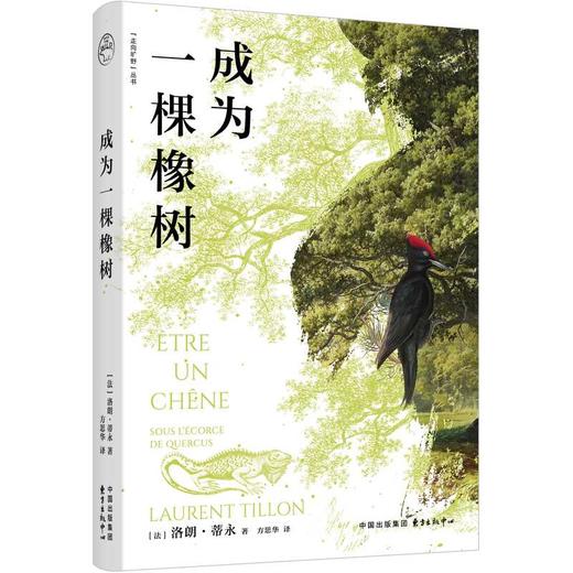 成为一棵橡树 商品图0