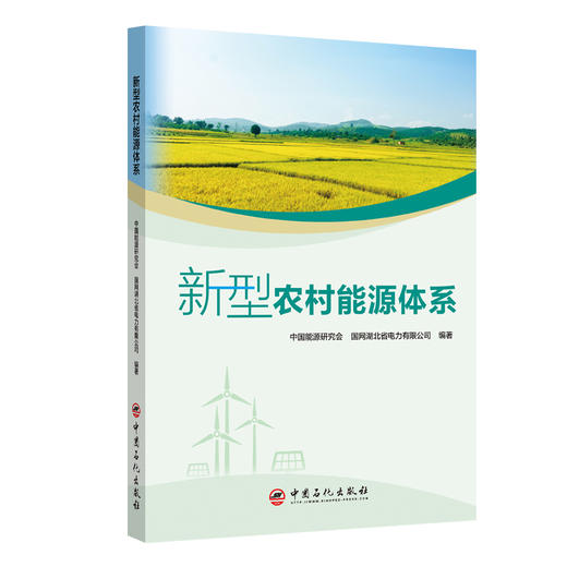 【官方旗舰店】新型农村能源体系 统构建清洁低碳、安全高效、普惠共享的新型农村能源体系，助力乡村全面振兴与“双碳”目标融合 商品图0