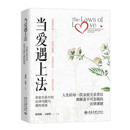 当爱遇上法:亲密关系中的法律问题与避险指南 商品图1