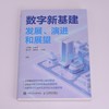 数字新基建:发展.演进和展望 商品缩略图2