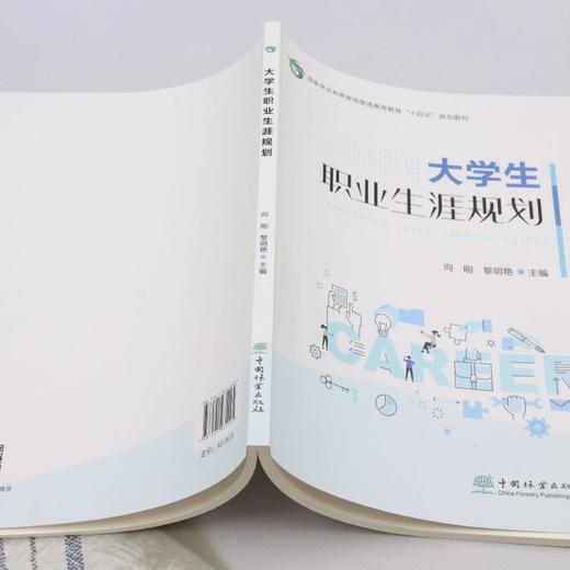 大学生职业生涯规划 商品图3