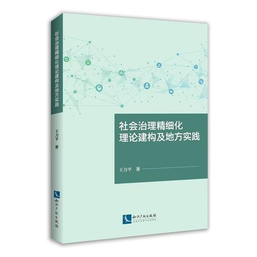 社会治理精细化理论建构及地方实践 商品图0