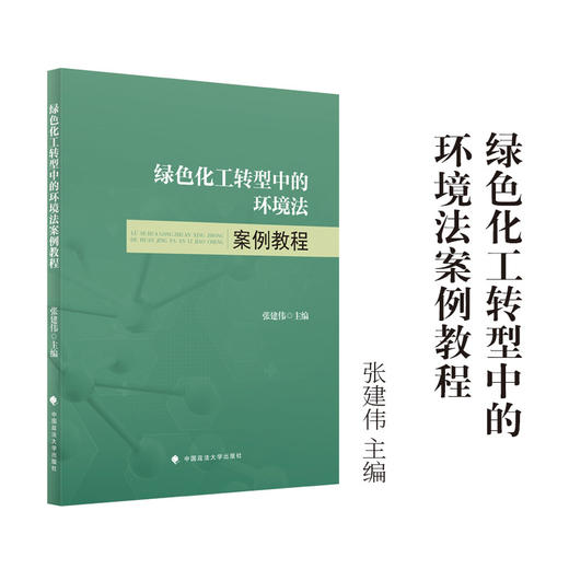 绿色化工转型中的环境法案例教程 商品图0
