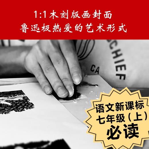 朝花夕拾-地面全渠道-造景贴纸 商品图4