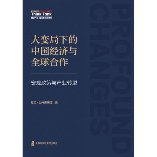 大变局下的中国经济与全球合作:宏观政策与产业转型 商品图1