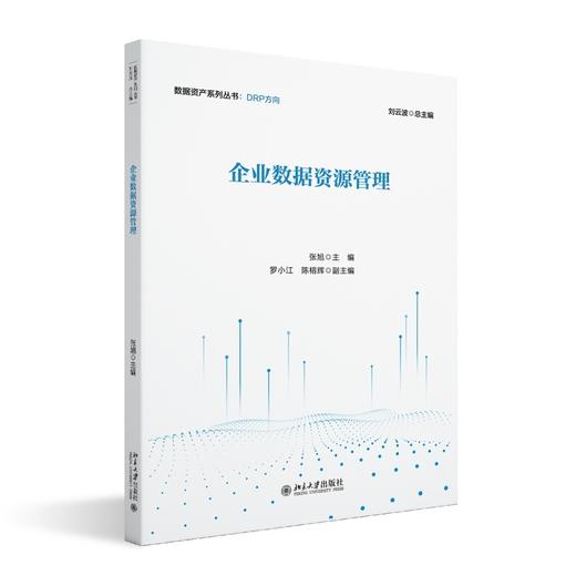 企业数据资源管理 商品图0