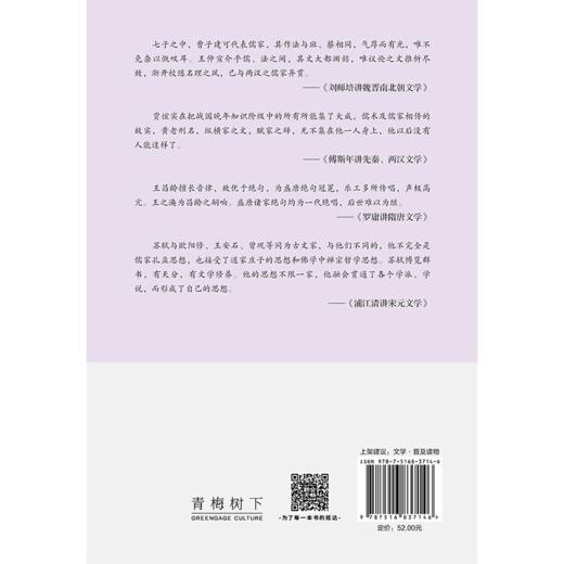 北大中国文学课 商品图1