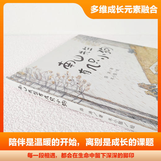 南山先生有几只小狗 商品图4