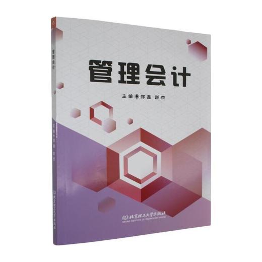 管理会计 商品图0