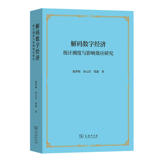解码数字经济：统计测度与影响效应研究 商品图0