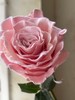 厄瓜多尔进口染色玫瑰花velvet rose gold玫瑰金丝绒粉天鹅绒10支 商品缩略图3