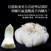 正安 湖南隆回龙牙百合  参考中国药典标准牙瓣大肉厚 优质原材 甘平下火降燥温养口感粉糯清甜 滋润秋冬煲汤食材家庭糖水百合地黄汤 特大片百合150g/罐 商品缩略图7