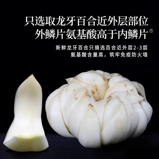 正安 湖南隆回龙牙百合  参考中国药典标准牙瓣大肉厚 优质原材 甘平下火降燥温养口感粉糯清甜 滋润秋冬煲汤食材家庭糖水百合地黄汤 特大片百合150g/罐 商品图7