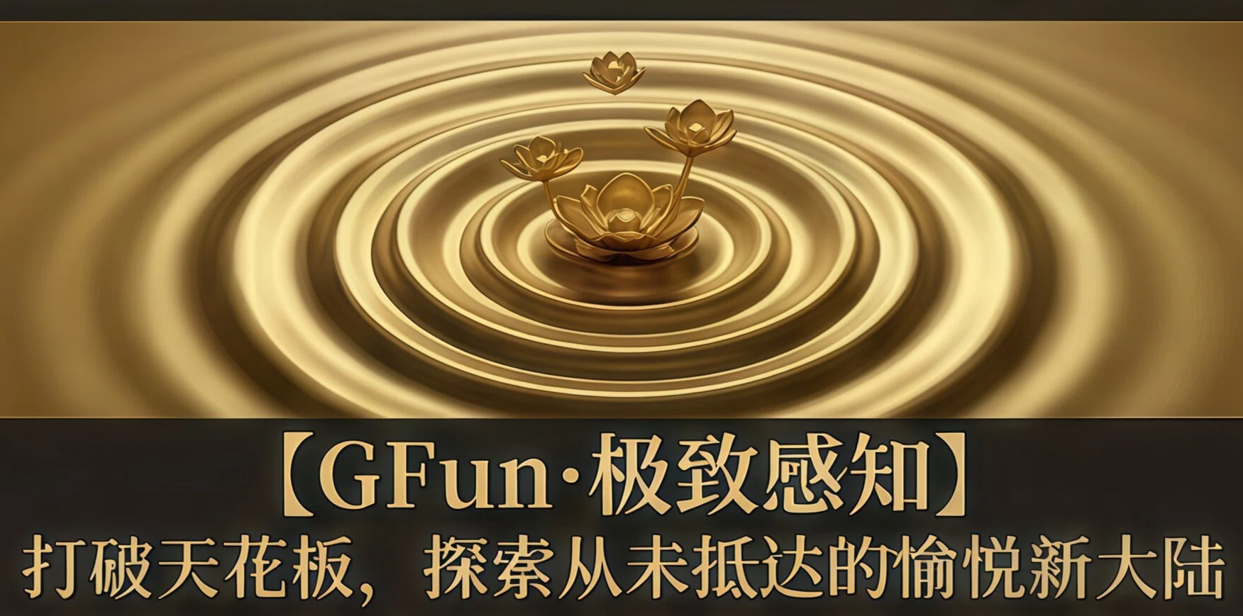四阶训练班丨GFun·极致感知（此链接仅老学员复训报名）