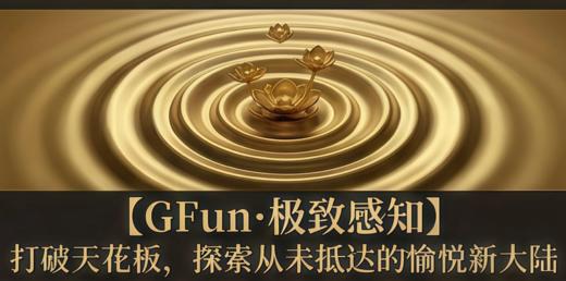 四阶训练班丨GFun·极致感知（此链接仅老学员复训报名） 商品图0