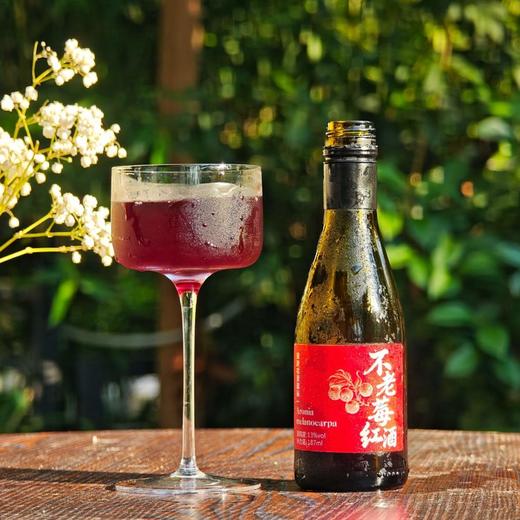 君燚庄园不老莓红酒 商品图4