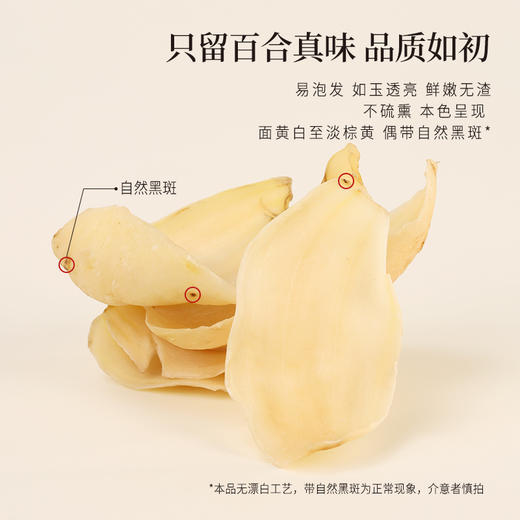 正安 湖南隆回龙牙百合  参考中国药典标准牙瓣大肉厚 优质原材 甘平下火降燥温养口感粉糯清甜 滋润秋冬煲汤食材家庭糖水百合地黄汤 特大片百合150g/罐 商品图10