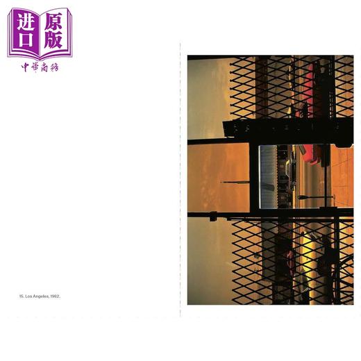 预售 【中商原版】【照片档案系列】Harry Gruyaert 进口艺术 哈里·格鲁亚特 小开本便携摄影集 T&H 商品图3