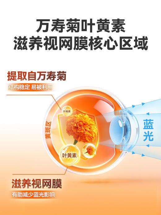 普安特宠物蓝莓叶黄素猫咪狗狗专用保护视力养眼润眼营养补充剂 商品图4