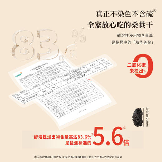 正安 桑葚干 补充精力恢复活力 免洗无沙桑葚桑果 即食果干泡茶用料 办公室零食健康果脯 优质原材 桑葚干 250g/罐 商品图3