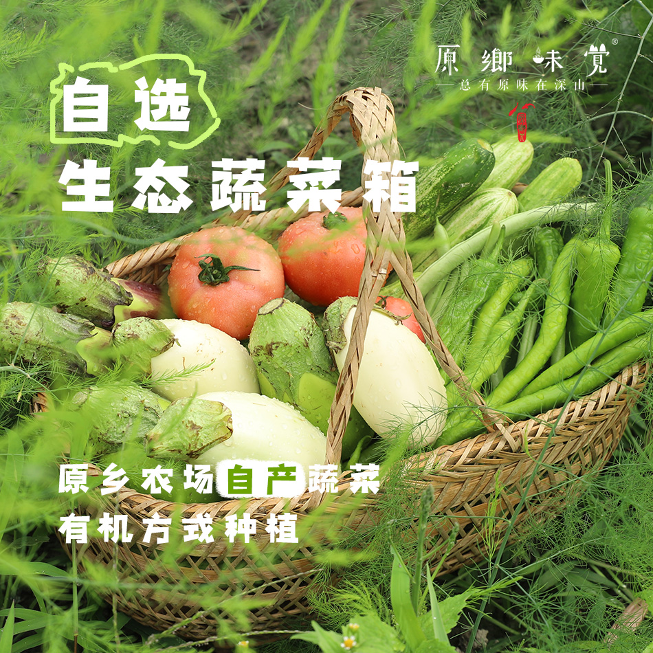 【下单满90元送1斤青茄/白茄】自选生态蔬菜箱（农场直发-顺丰快递）| 多种规格，来自成都郫都区【原乡农场，自产自销】