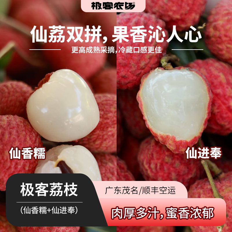 【预售】极客荔枝（仙香糯+仙进奉）丨仙香糯荔枝口感细腻、软糯柔嫩，肉质厚实；仙进奉荔枝，肉厚多汁，风味层次丰富，果肉嫩滑。到货冷藏3小时后再吃，带软枝发货，介意慎拍⭐️顺丰空运