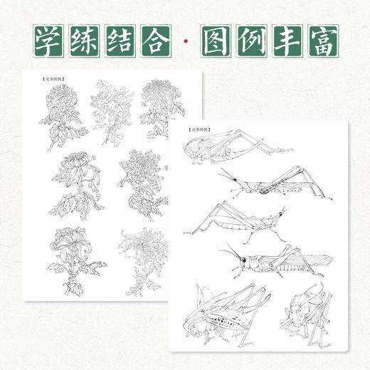 白描技法精讲 基础训练与案例解析 白描技法*基础小白技法教程中国画水墨画线稿 花鸟鱼虫草木鳞介走兽和人物 初学者系统学习 商品图2