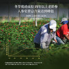 正安 加拿大进口西洋参  采挖4年老龄参低温烘干营养足 参味醇正优质原材 气盈清润小干人干驱走干燥内热 泡水煲汤商务长辈礼品 西洋参100g/罐 商品缩略图6