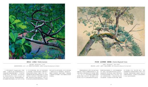 费顿艺术灵感画册：树：探索繁茂的世界，300余件作品感受树木之美 一本关于树的纸上博物馆 艺术画册 商品图2