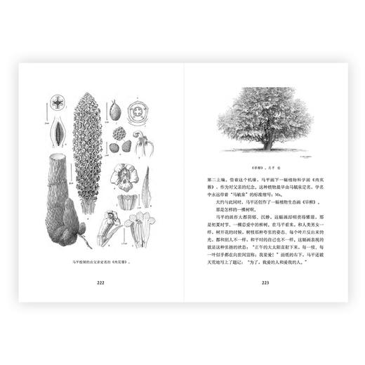 《读库2602》赠App月卡 读库MOOK 张立宪 老六 商品图5